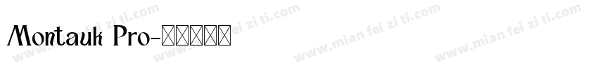 Montauk Pro字体转换